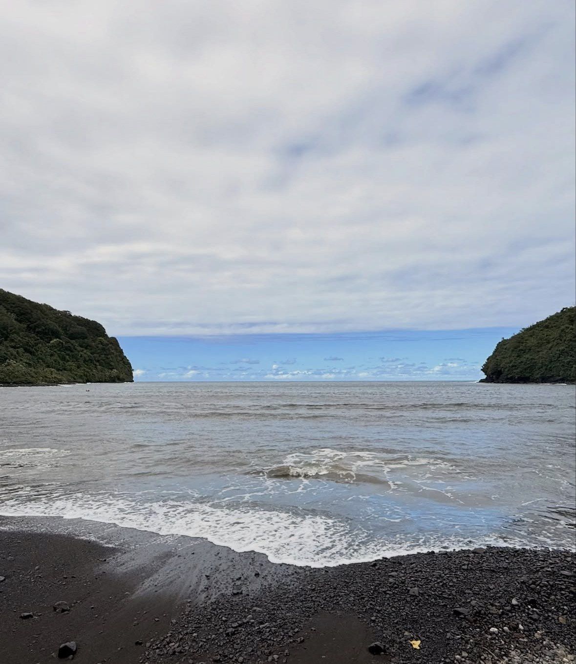 Gray sand cove between forested headlands under flat overcast sky